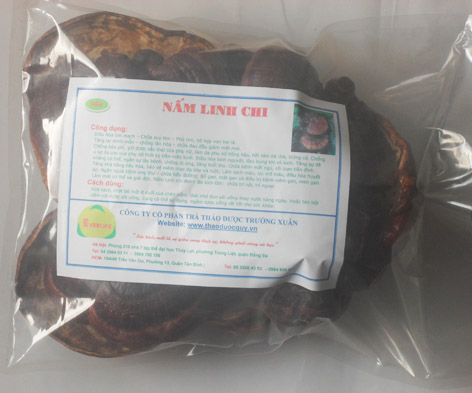 Rượu nấm linh chi - Rượu thuốc đại bổ cho sức khỏe